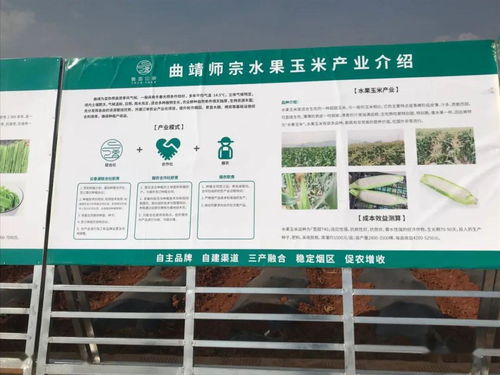 推廣有機肥改良土壤結構，云南國發(fā)助力師宗煙草綠色高質量發(fā)展